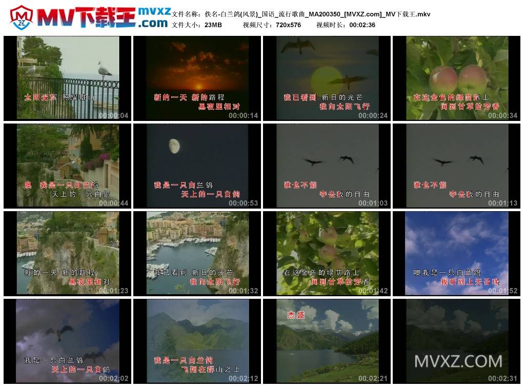 佚名-白兰鸽(风景)_国语_流行歌曲_MA200350